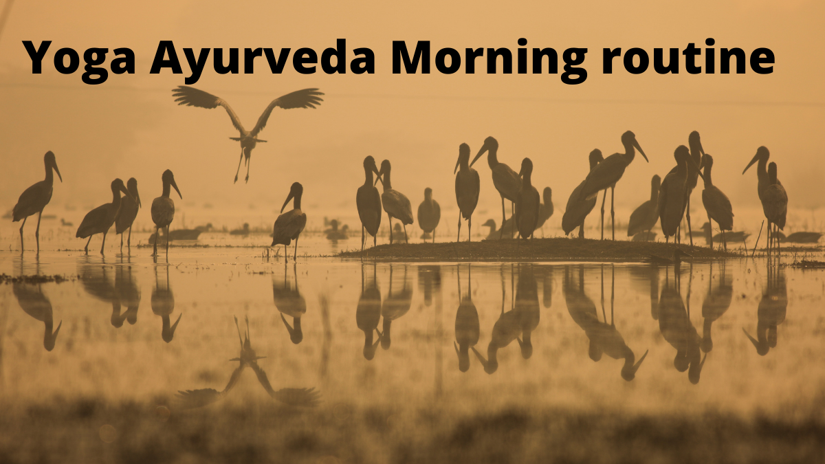 My Yoga Ayurveda morning routine